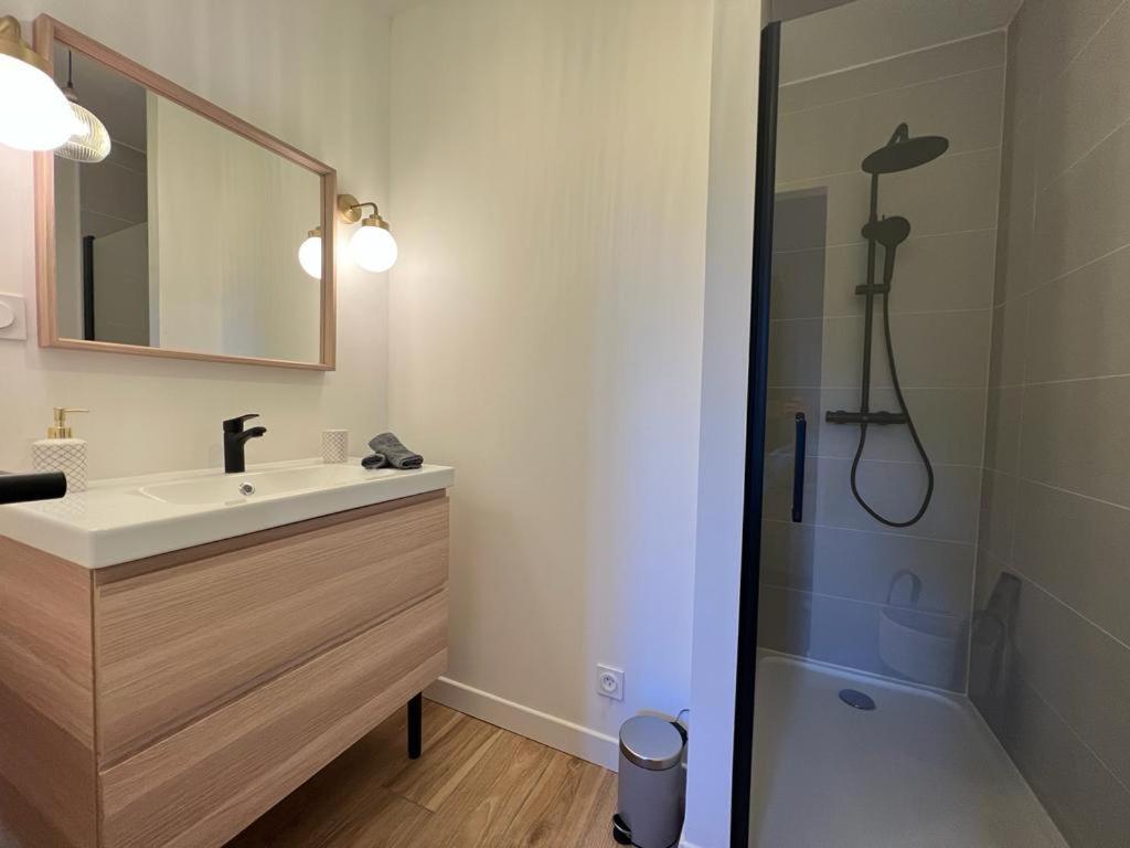 Appartement Coup De Coeur. St Etienne-Rochetaillee Сент-Этьен Экстерьер фото