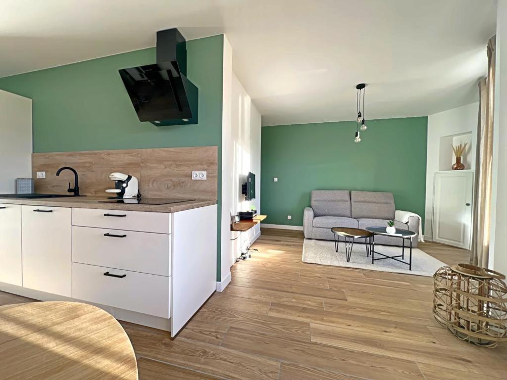 Appartement Coup De Coeur. St Etienne-Rochetaillee Сент-Этьен Экстерьер фото