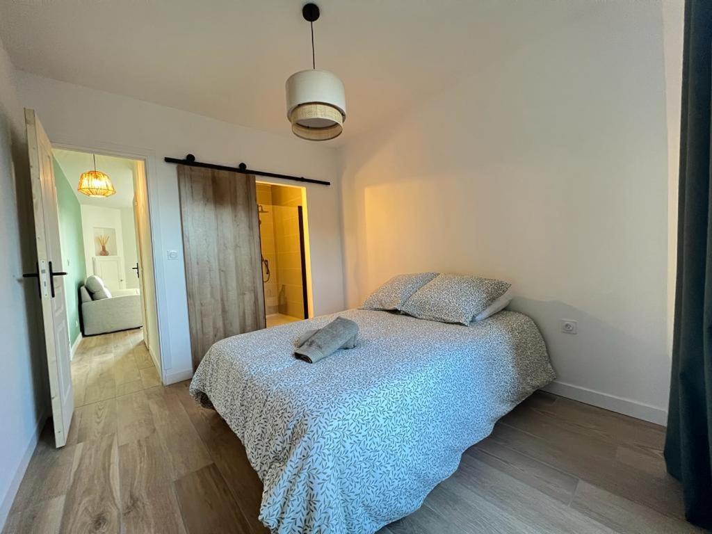 Appartement Coup De Coeur. St Etienne-Rochetaillee Сент-Этьен Экстерьер фото